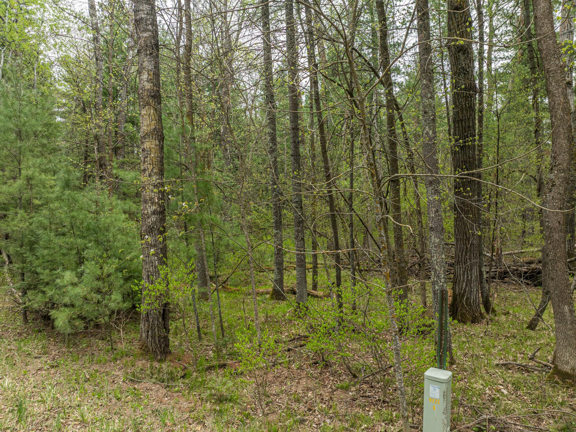 TBD Chokecherry Drive