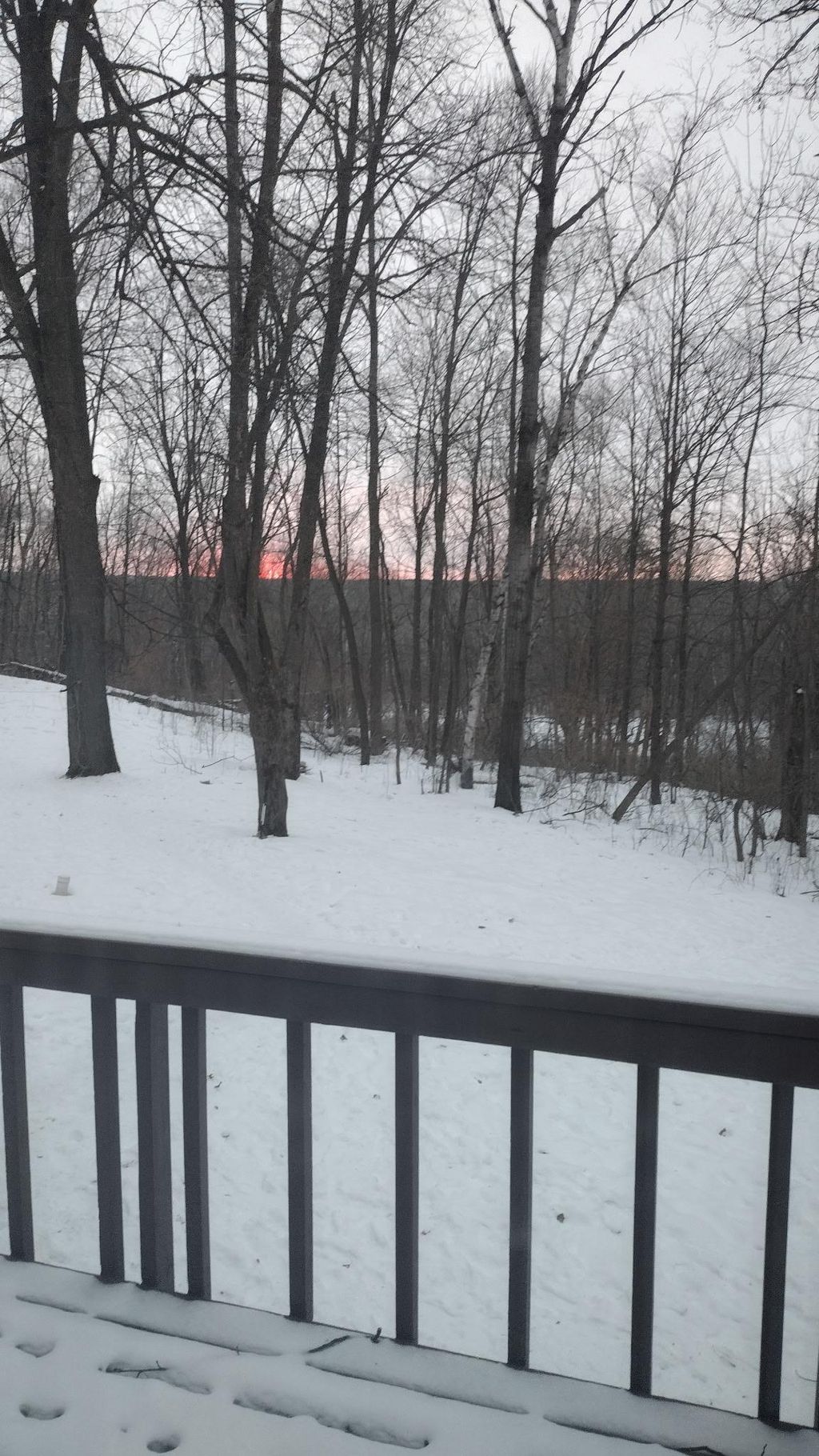 Photo of 2724 230th Avenue, Saint Croix Falls, WI 54024 (MLS # 7013246)