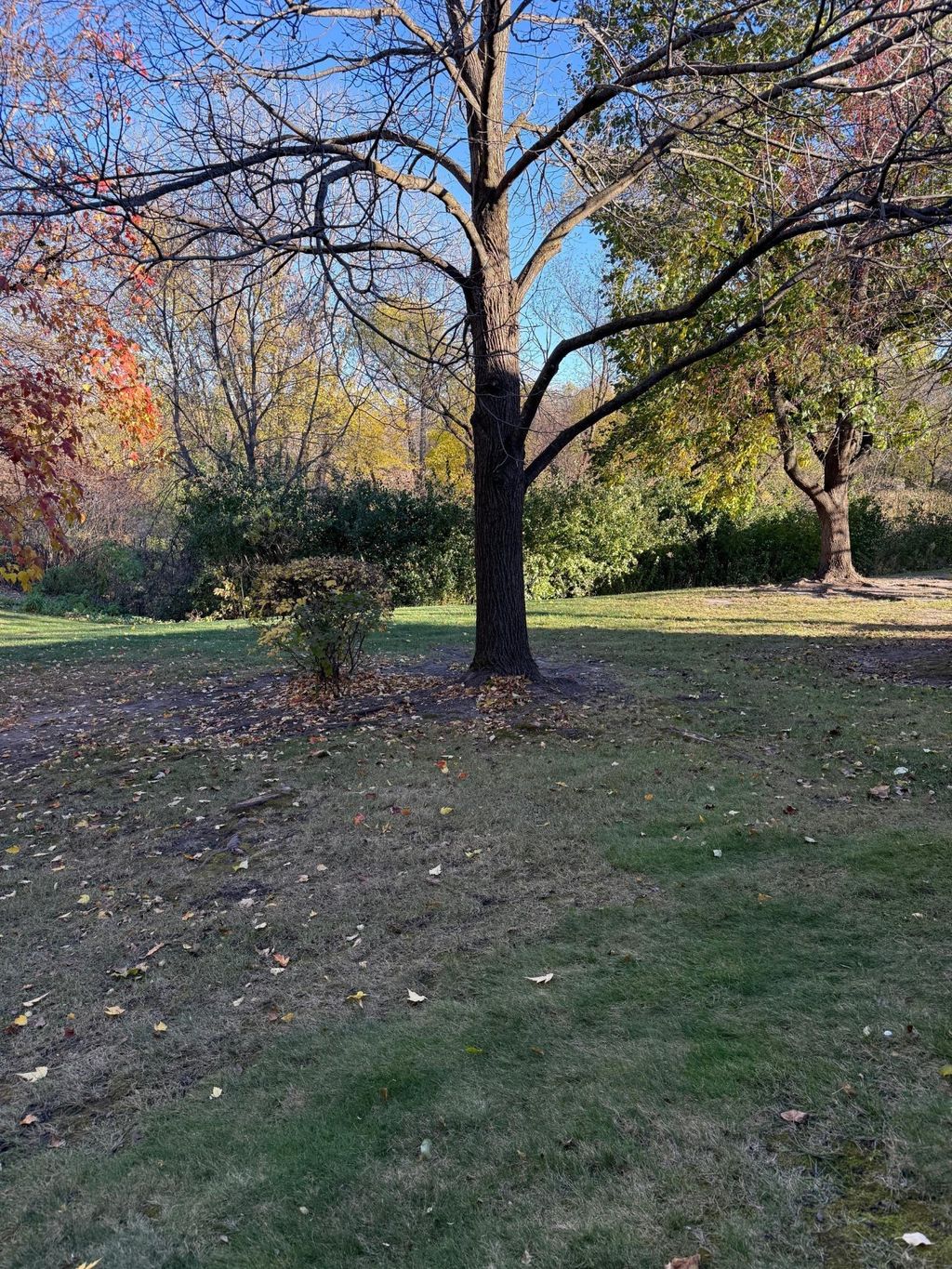 Photo of 4232 Magnolia Lane N #73, Plymouth, MN 55441 (MLS # 6811600)