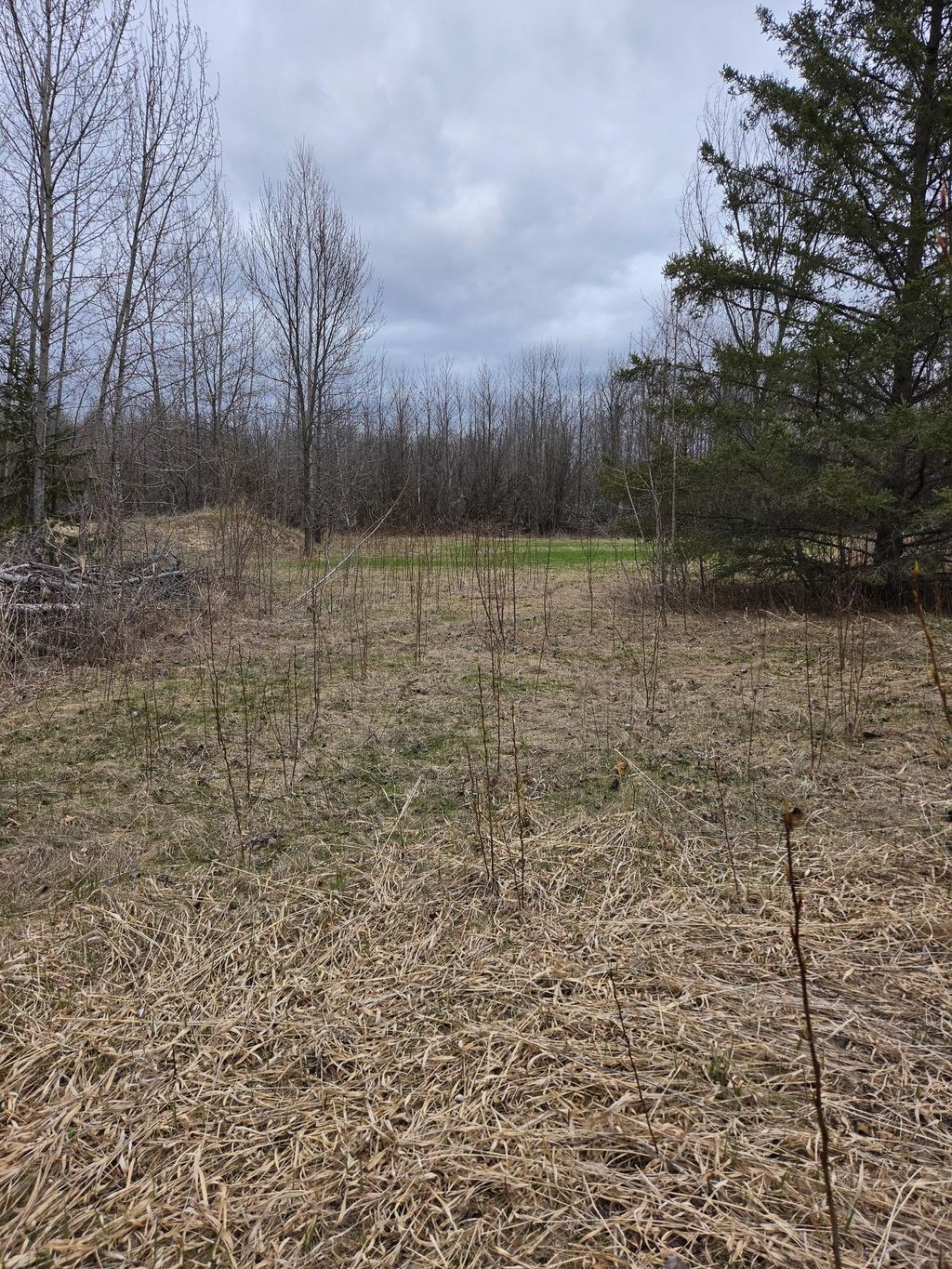 Photo of TBD Lampi Road, Cohasset, MN 55721 (MLS # 7068215)