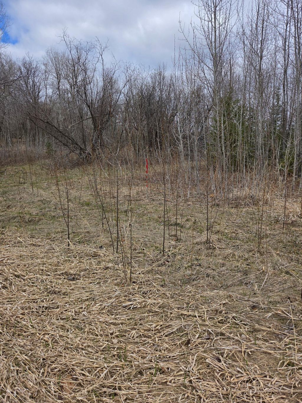 Photo of TBD Lampi Road, Cohasset, MN 55721 (MLS # 7068215)