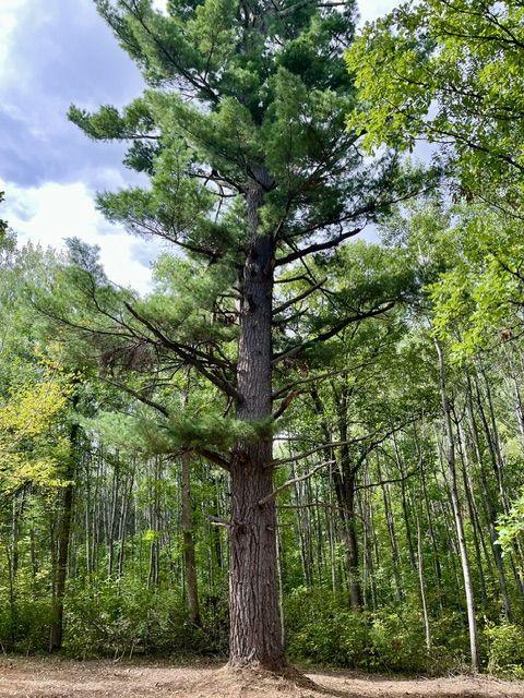 Lot 17 New Melahn Drive