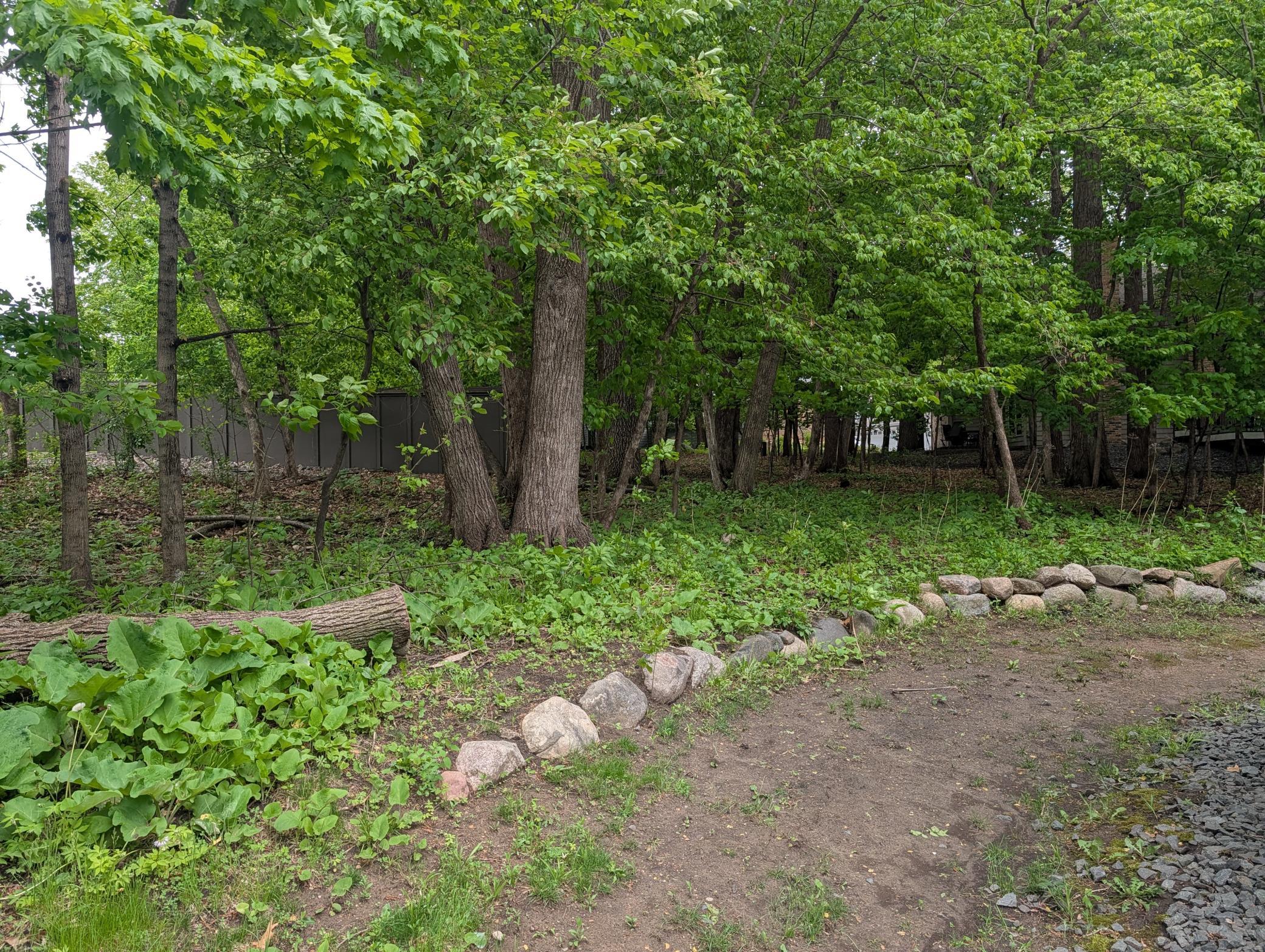 8771 Basswood Road