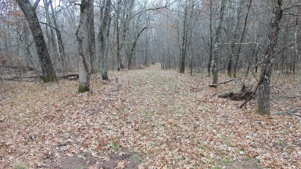 Photo of Lot 6 Canute Creek Trl, Grantsburg, WI 54840 (MLS # 7006772)