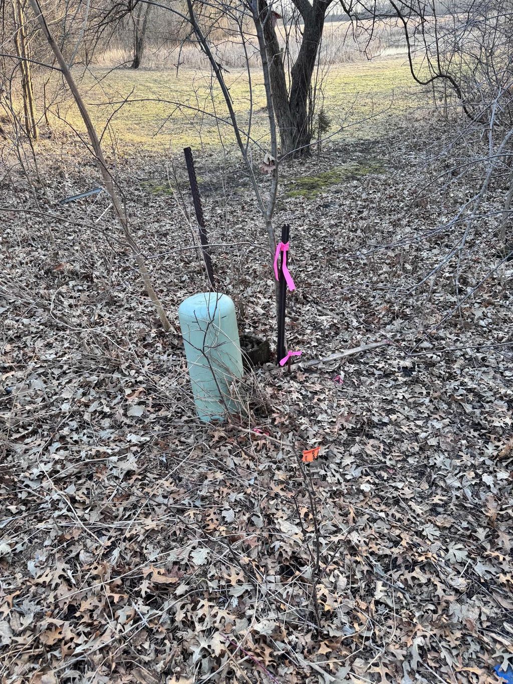 Photo of 491 Highland Avenue, Big Lake, MN 55309 (MLS # 7055140)