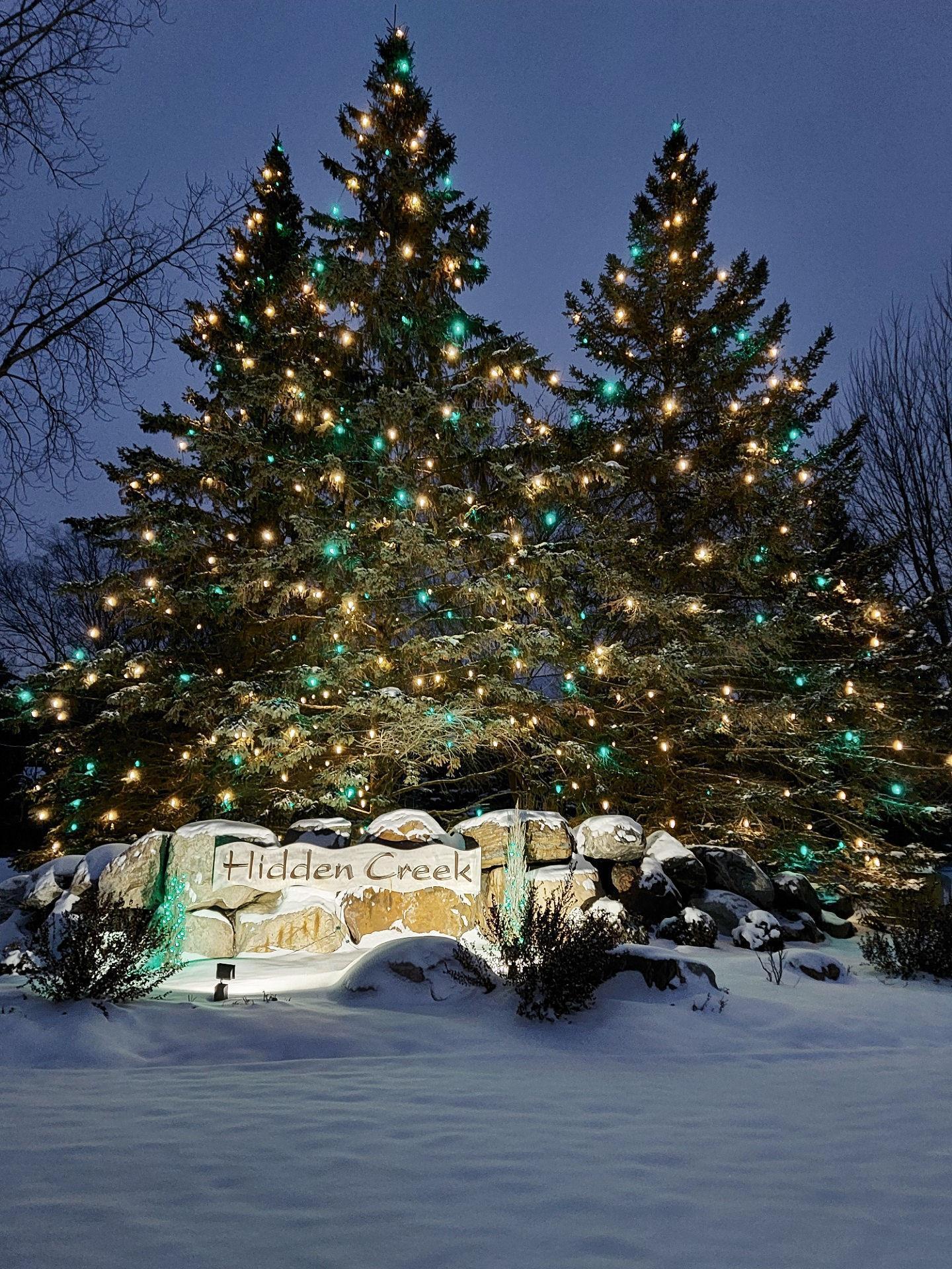 685 Hidden Creek Trail