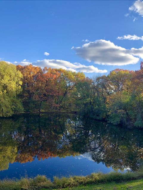 8717 Demontreville Trail N Lake Elmo MN 55042