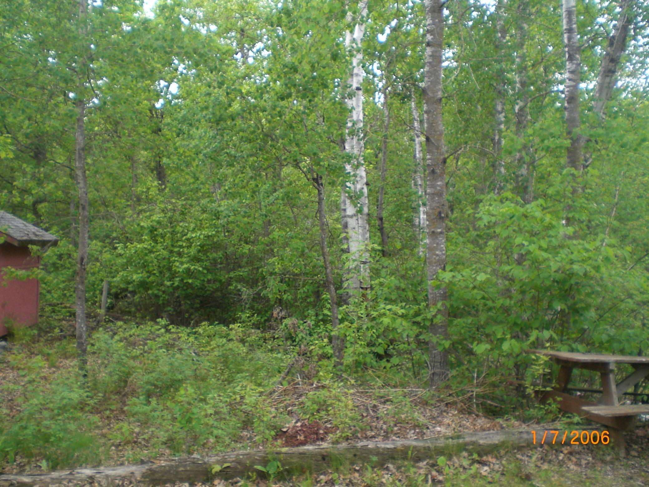 30667 Plumwood Trail
