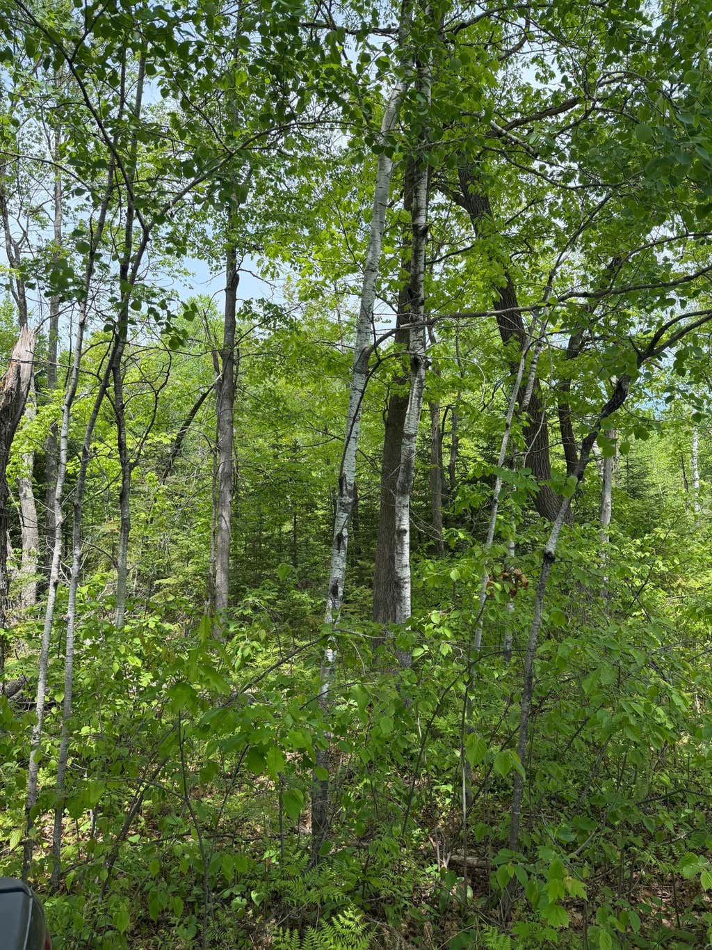 Photo of TBD Range Line Rd, Kerrick, MN 55756 (MLS # 7083736)