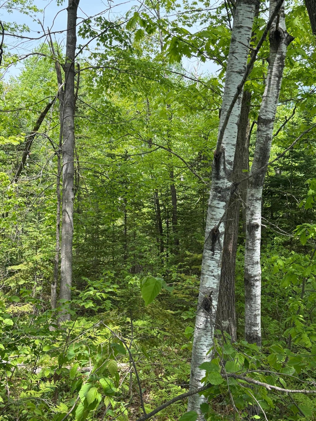Photo of TBD Range Line Rd, Kerrick, MN 55756 (MLS # 7083736)
