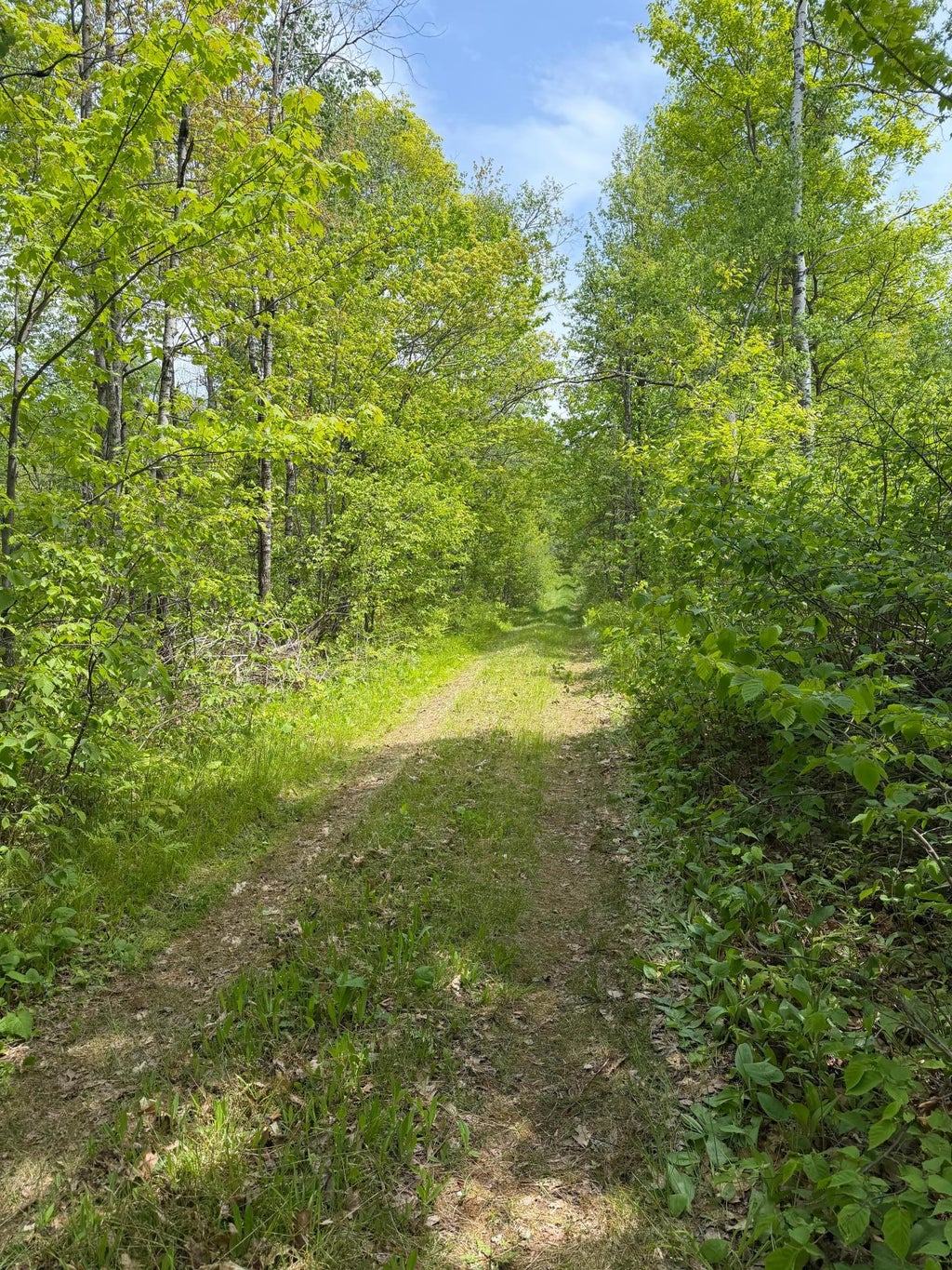 Photo of TBD Range Line Rd, Kerrick, MN 55756 (MLS # 7083736)