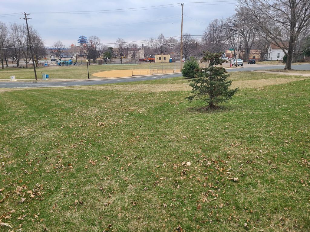 Photo of 306 5th Street W, Hastings, MN 55033 (MLS # 7047259)