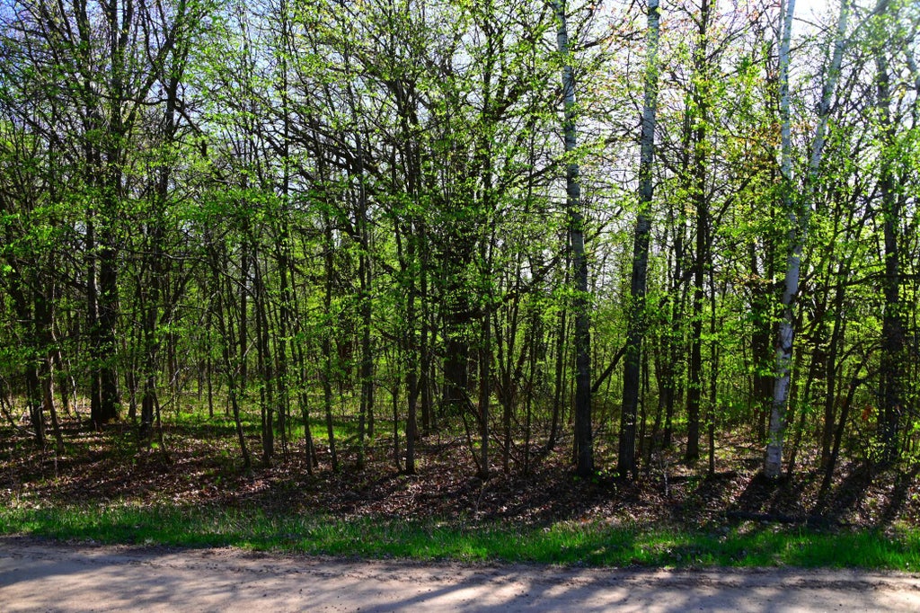 Photo of 28329 orchard Drive, Browerville, MN 56438 (MLS # 7137226)