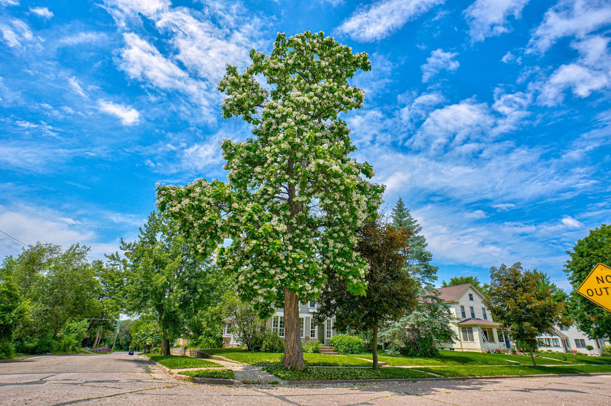 1403 3rd Street