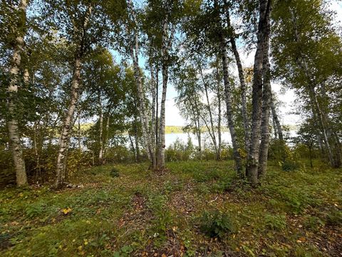 XXX County Road 119 Nevis MN 56467