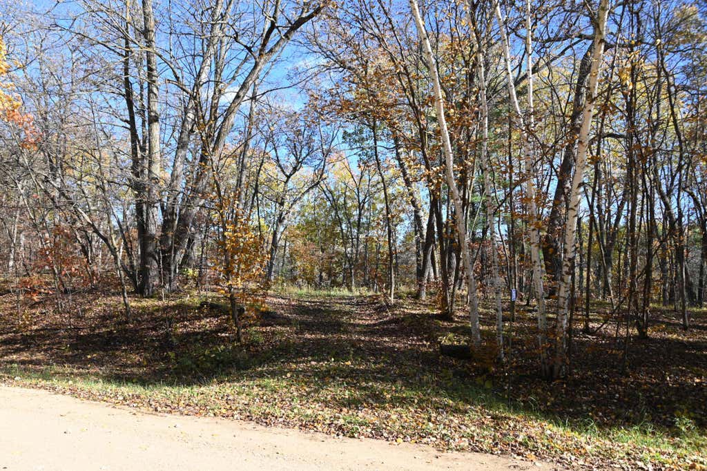 Photo of 39906 Pine Island Pt Drive, Browerville, MN 56438 (MLS # 7120570)
