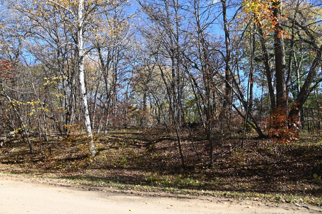 Photo of 39906 Pine Island Pt Drive, Browerville, MN 56438 (MLS # 7120570)