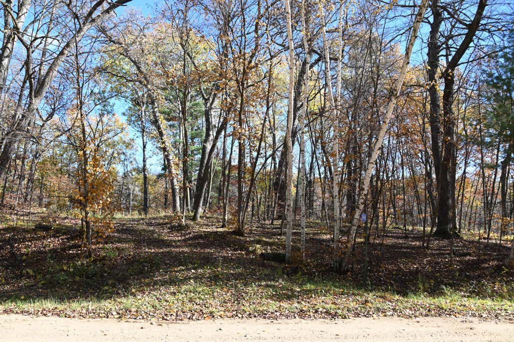 Photo of 39906 Pine Island Pt Drive, Browerville, MN 56438 (MLS # 7120570)