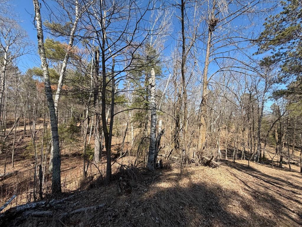 26402 "Tract A" Inlet Trail