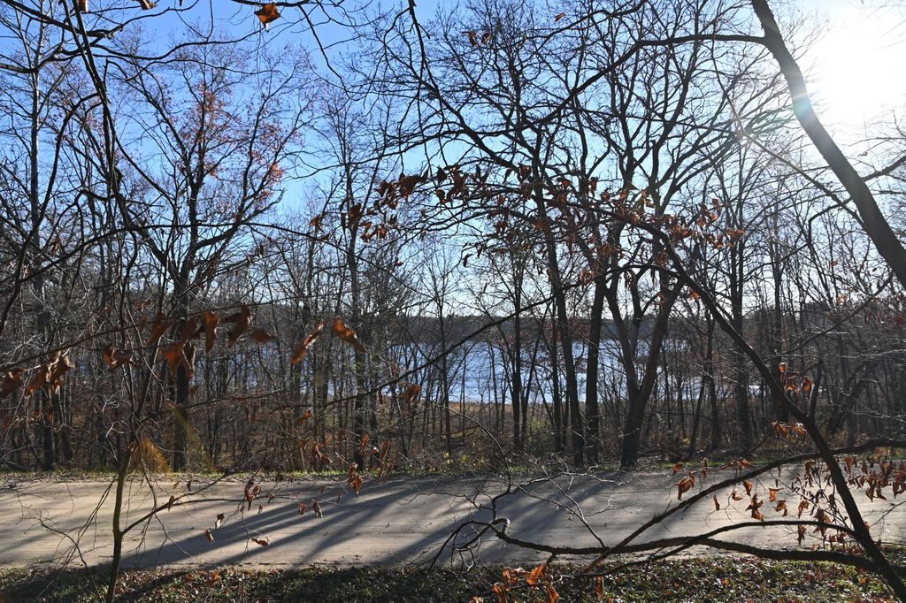 Photo of TBD 392 Street, Fawn Lake Twp, MN 56438 (MLS # 7034470)