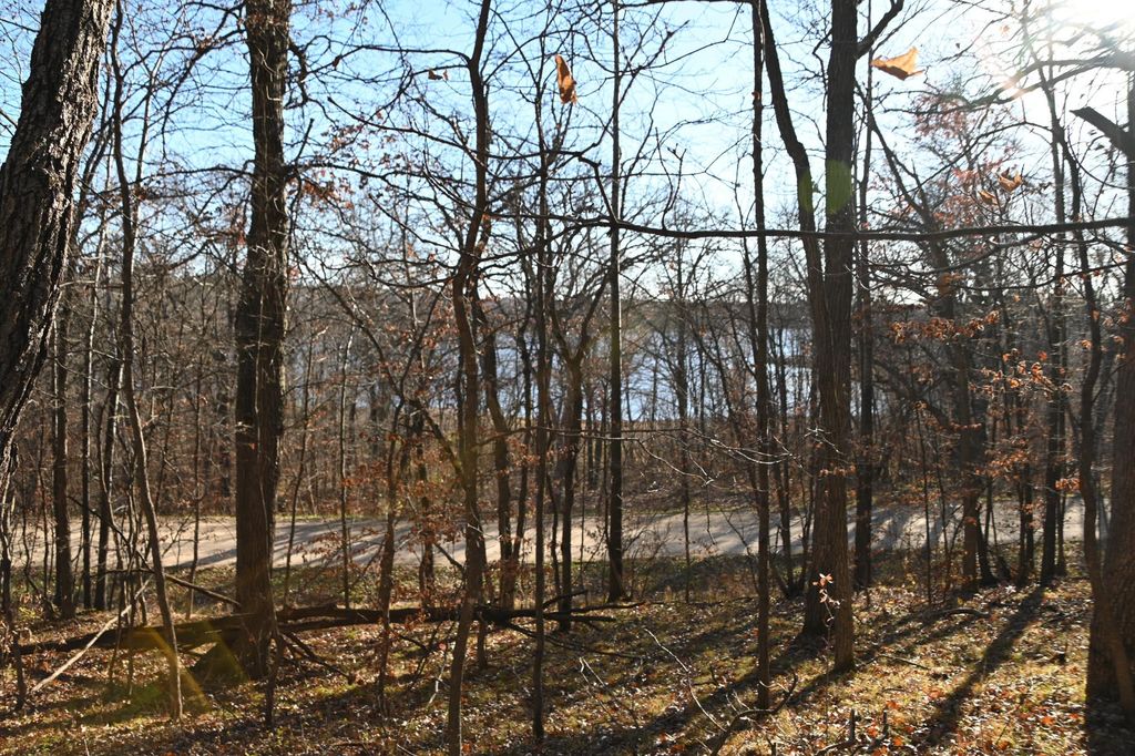 Photo of TBD 392 Street, Fawn Lake Twp, MN 56438 (MLS # 7034470)