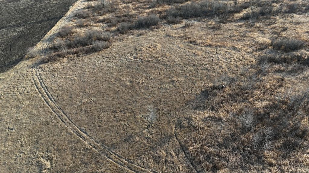 Photo of TBD Ose Rd. NW, Spruce Grove Twp, MN 56727 (MLS # 6819119)