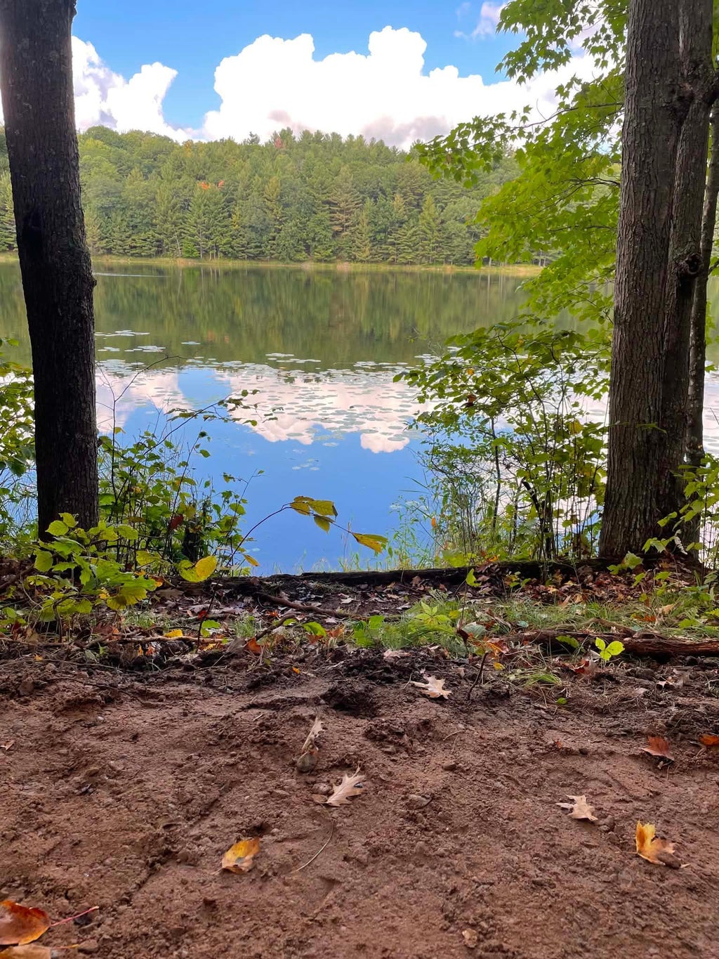 Photo of 296 26 1/8 Avenue, Maple Plain Twp, WI 54829 (MLS # 7124430)