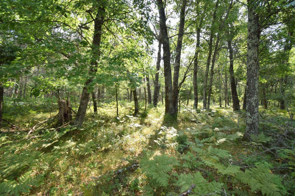 Photo of Lot 5 South Point Trail, Danbury, WI 54830 (MLS # 7125055)