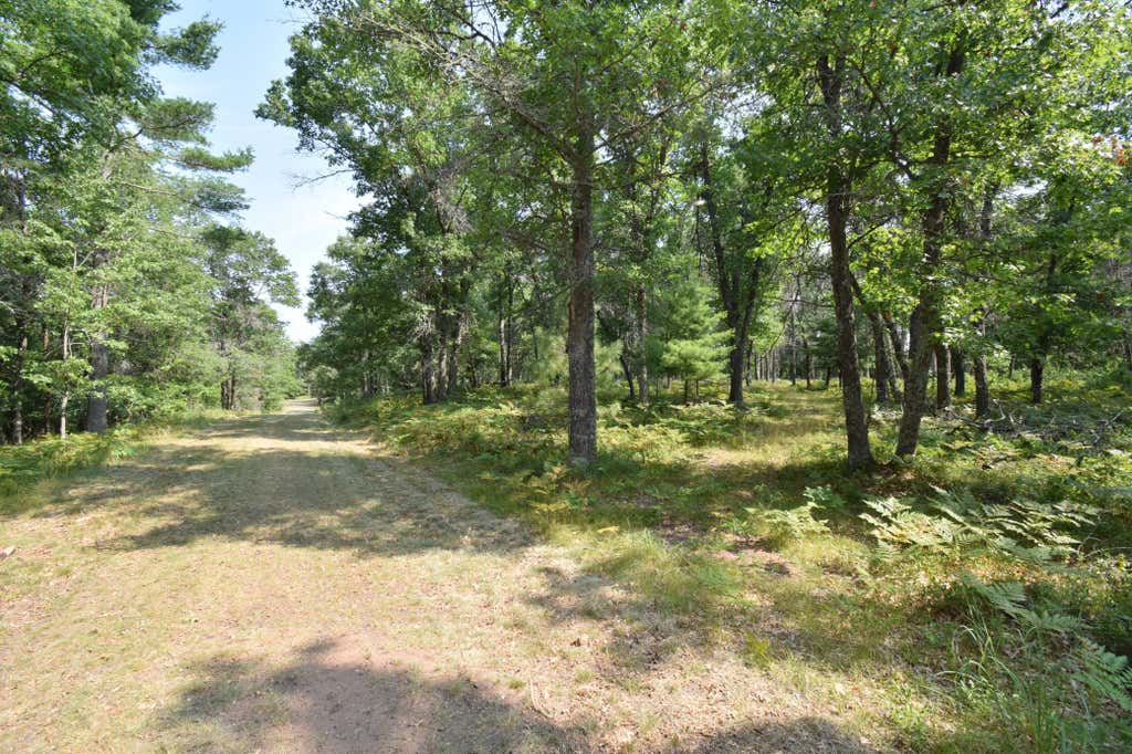 Photo of Lot 5 South Point Trail, Danbury, WI 54830 (MLS # 7125055)