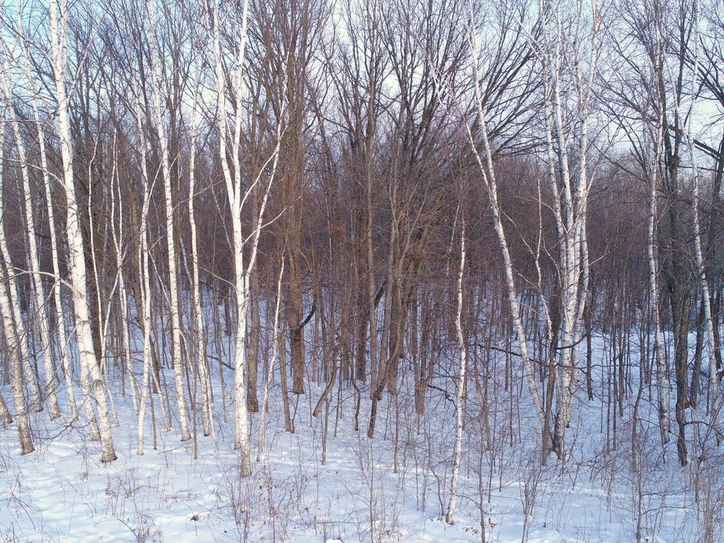 Photo of 158AC 110th Street, Frederic, WI 54837 (MLS # 7000488)