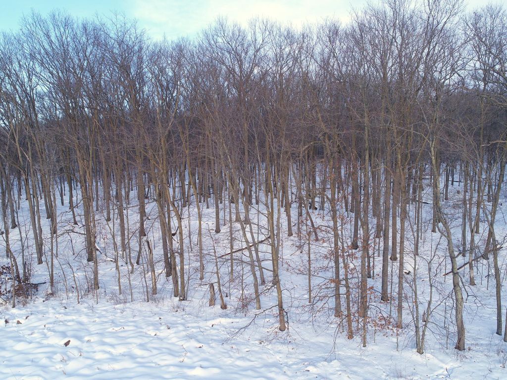 Photo of 158AC 110th Street, Frederic, WI 54837 (MLS # 7000488)