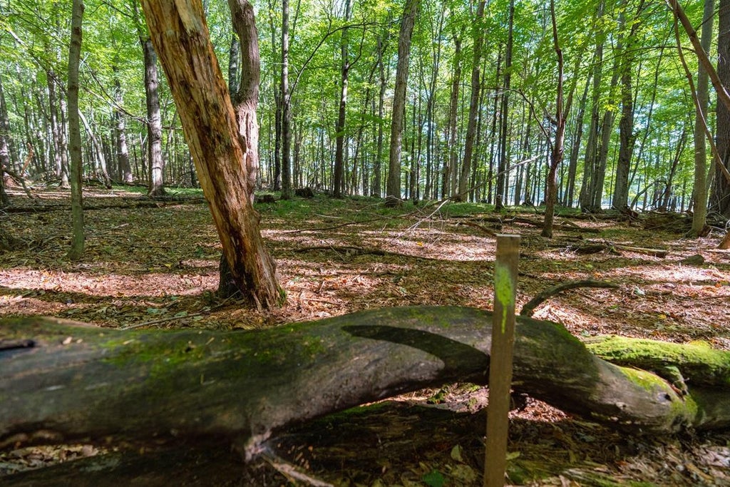Photo of Lot7 815th Avenue, Menomonie, WI 54751 (MLS # 7152449)