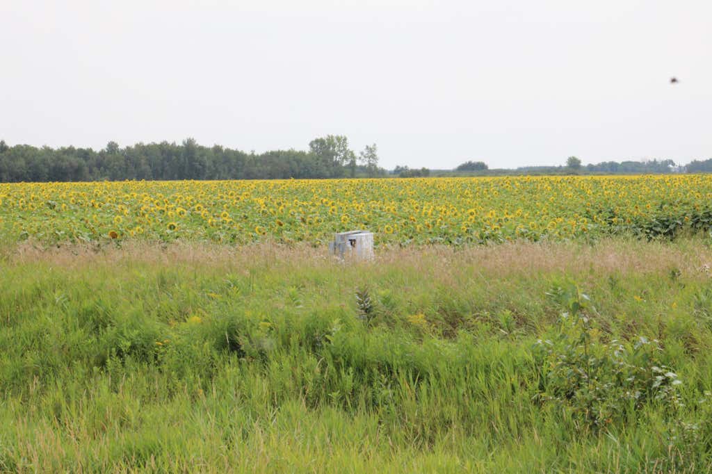 Photo of 000 State Hwy 219, Goodridge, MN 56725 (MLS # 7127983)