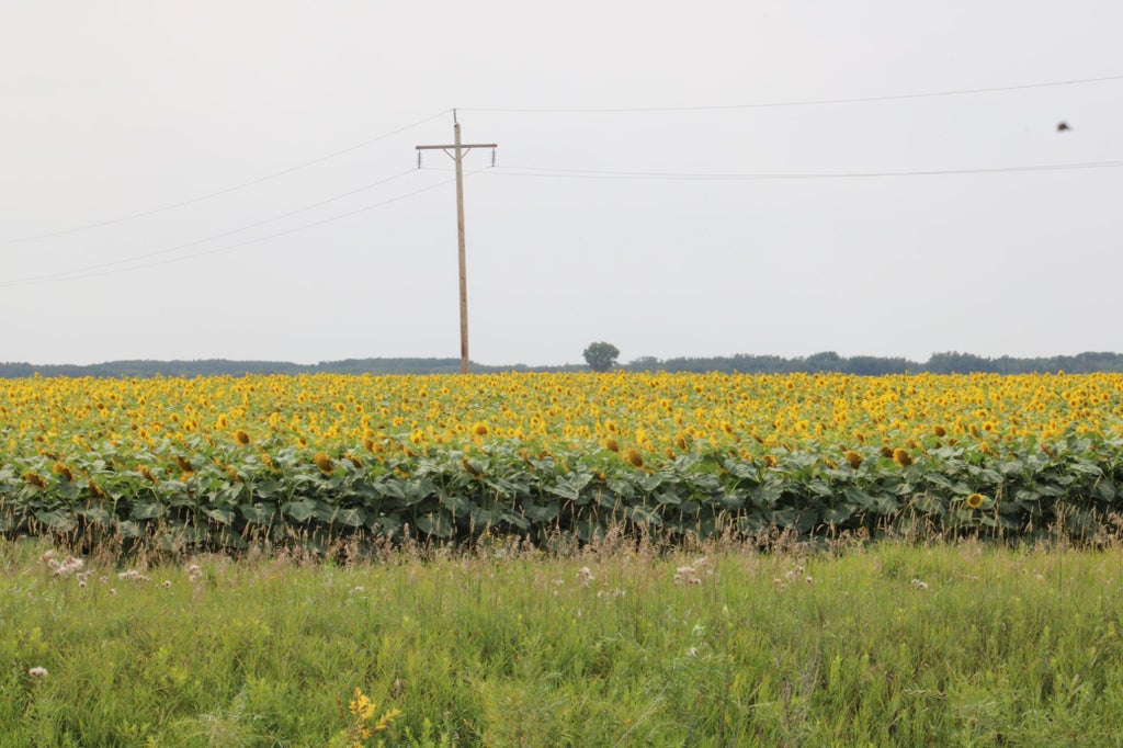 Photo of 000 State Hwy 219, Goodridge, MN 56725 (MLS # 7127983)