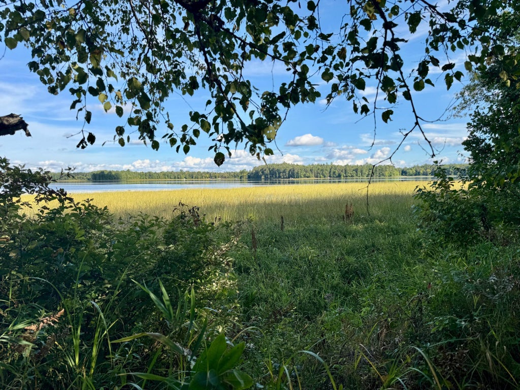 Photo of 266 Lake Hattie Drive NW, Backus, MN 56435 (MLS # 7147988)