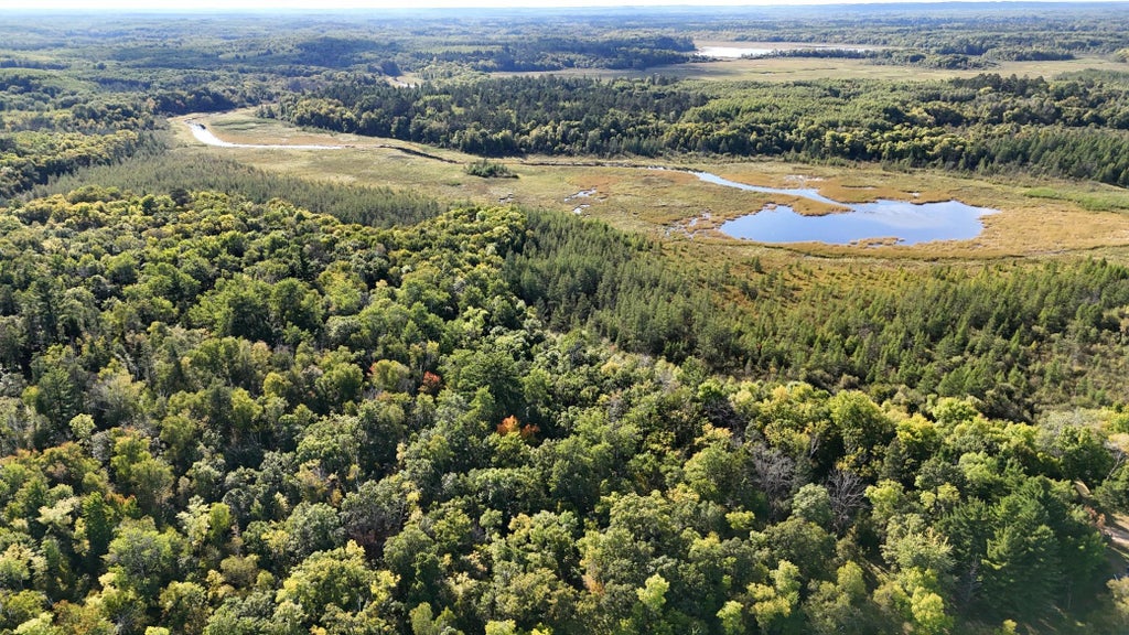 Photo of 266 Lake Hattie Drive NW, Backus, MN 56435 (MLS # 7147988)
