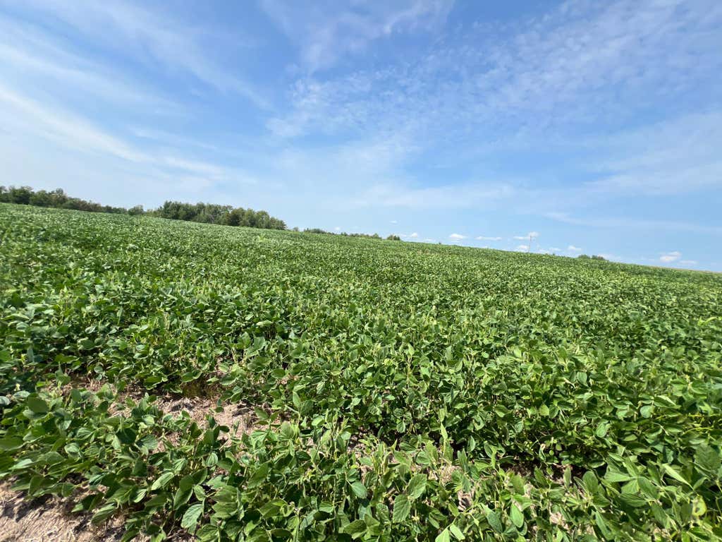 Photo of 00 State HWY 48, Hinckley, MN 55037 (MLS # 7127866)