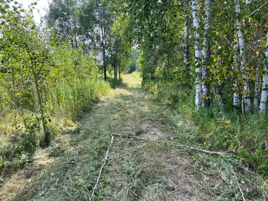 Photo of 00 State HWY 48, Hinckley, MN 55037 (MLS # 7127866)