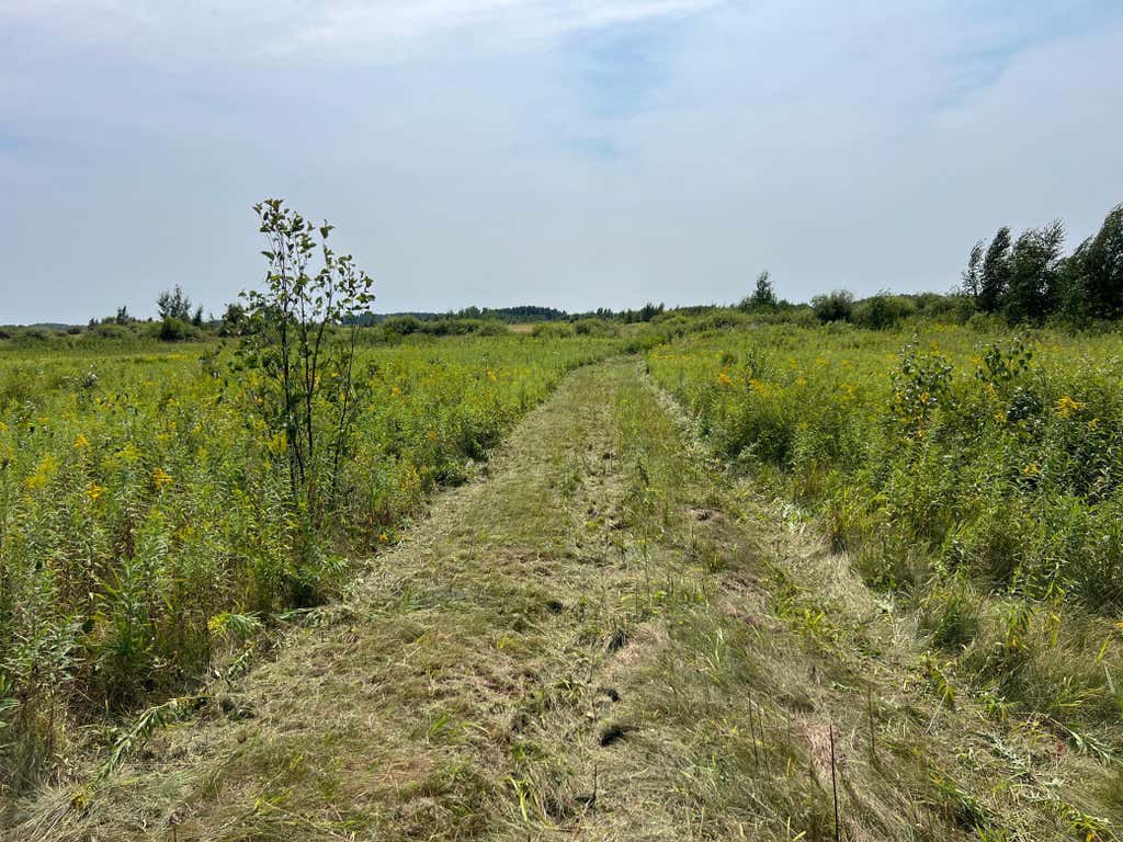 Photo of 00 State HWY 48, Hinckley, MN 55037 (MLS # 7127866)
