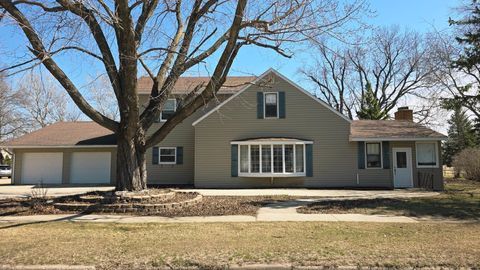 Photo of 535 W 1st Street, Cottonwood, MN 56229 (MLS # 7051361)