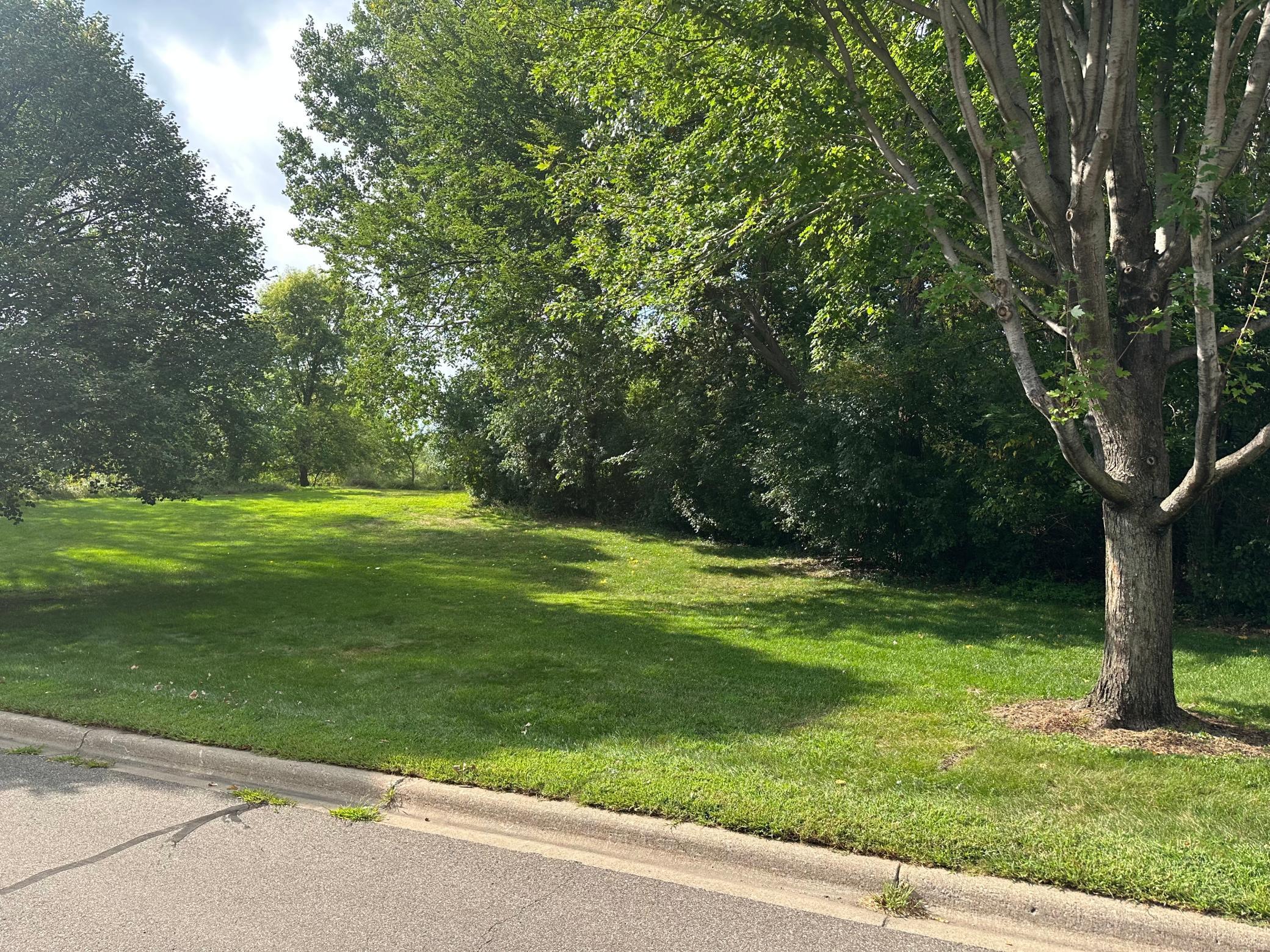3724 Big Linden Curve