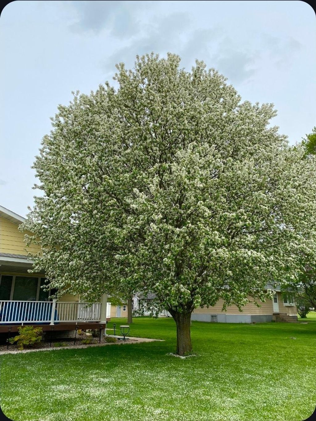 Photo of 307 Brook Avenue N, Porter, MN 56280 (MLS # 7078267)