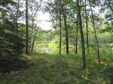 LOTS 5-11 TBD FRONT STREET FRONT STREET Pine River MN 56474