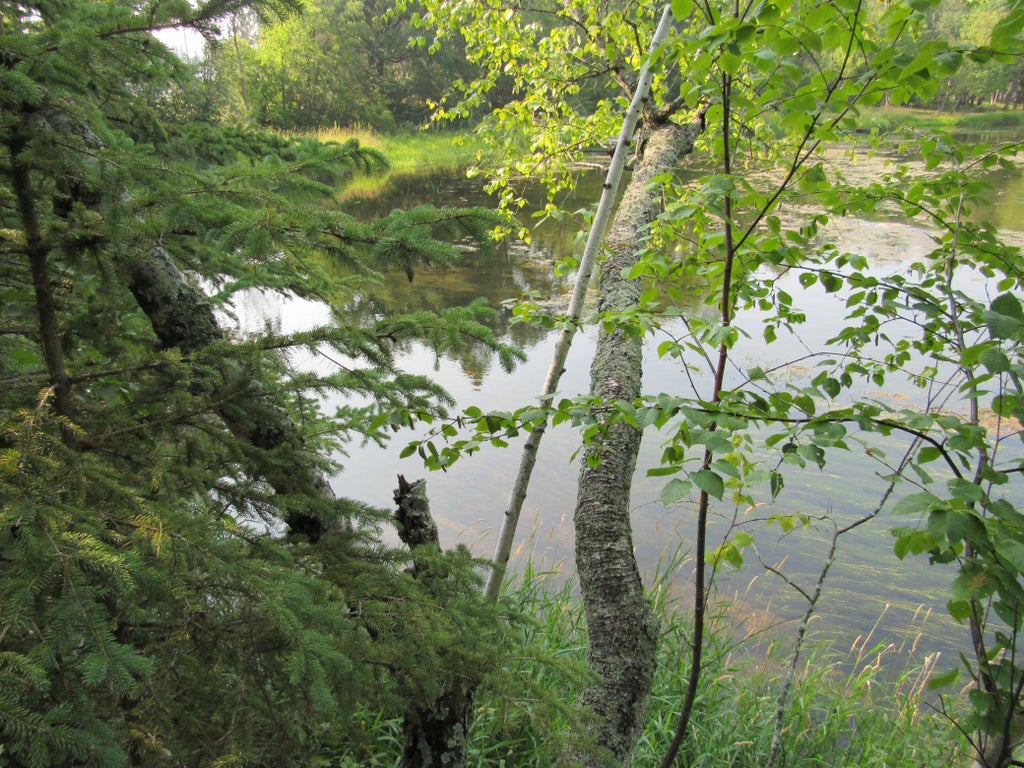 Photo of LOTS 5-11 TBD FRONT FRONT STREET, Pine River, MN 56474 (MLS # 7091925)