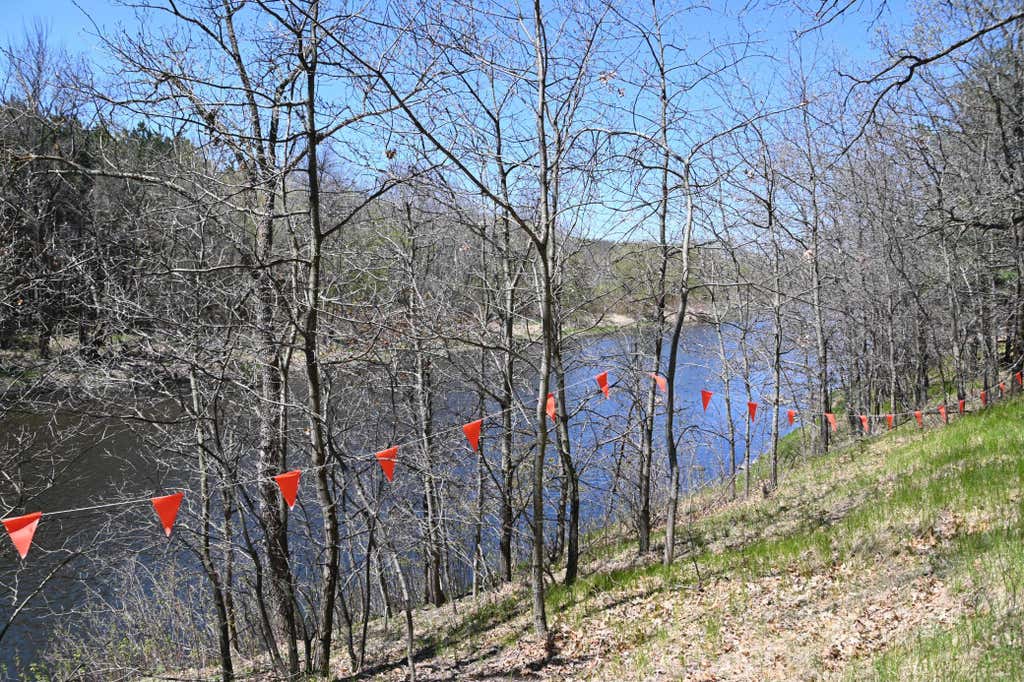 Photo of 38903 Odin Court, Browerville, MN 56438 (MLS # 7120281)