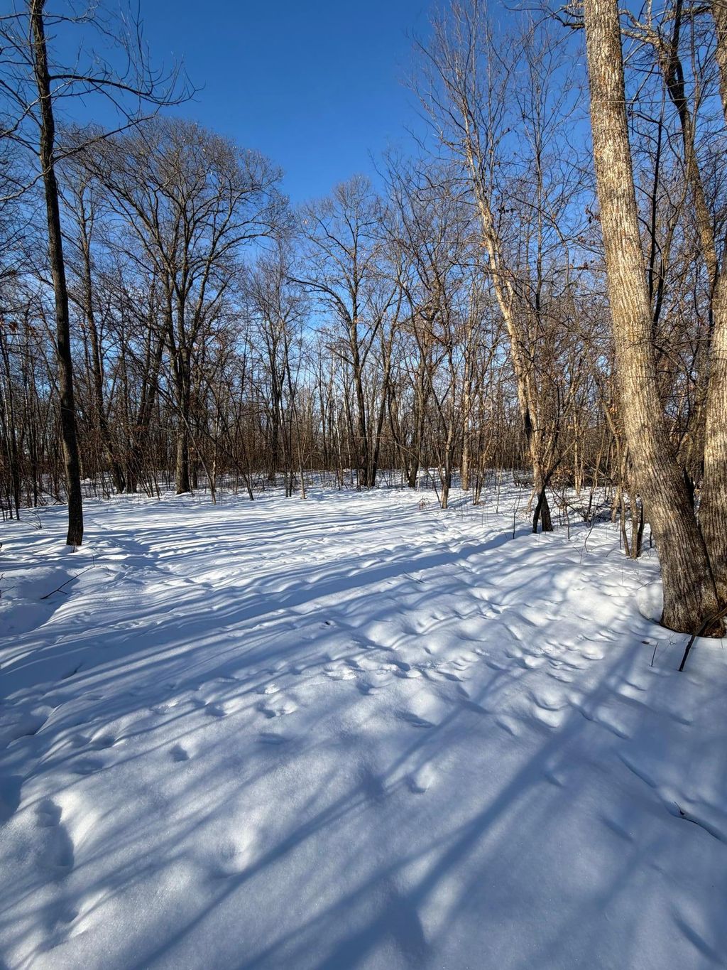 Photo of TBD TBD County Road 12, Ironton, MN 56455 (MLS # 7007808)