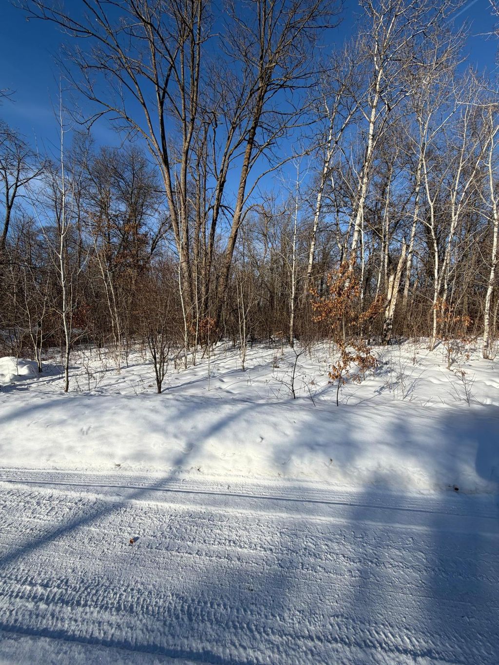 Photo of TBD TBD County Road 12, Ironton, MN 56455 (MLS # 7007808)