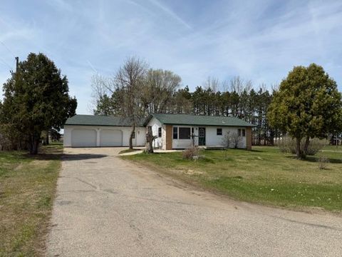 Photo of 42253 439th Avenue, Perham, MN 56573 (MLS # 7071913)