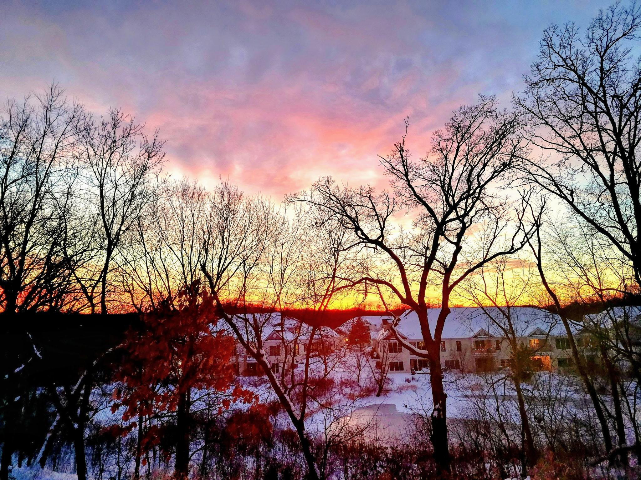 1454 Steeplechase Lane 18