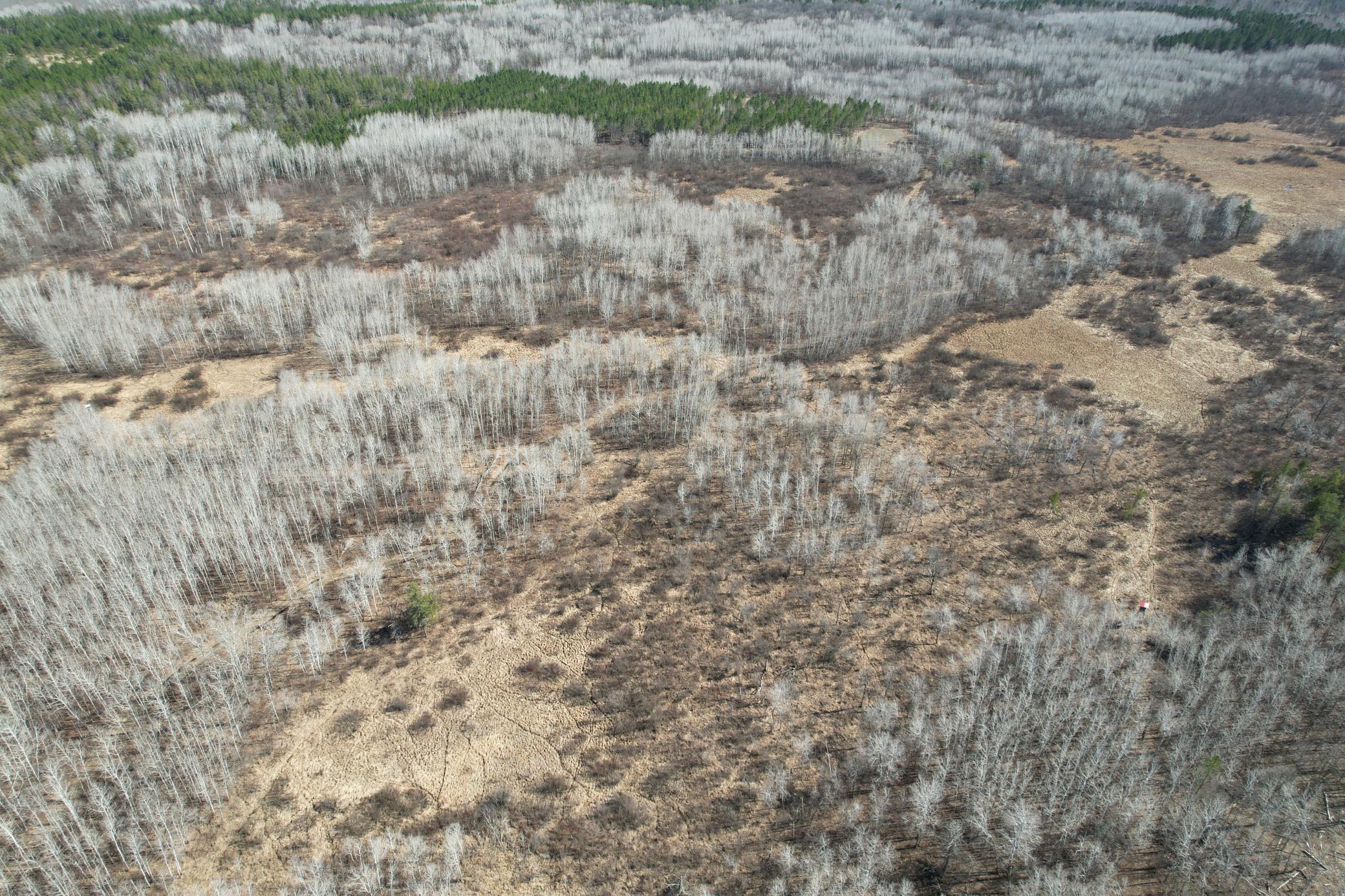 TBD Anderson Crossing Road